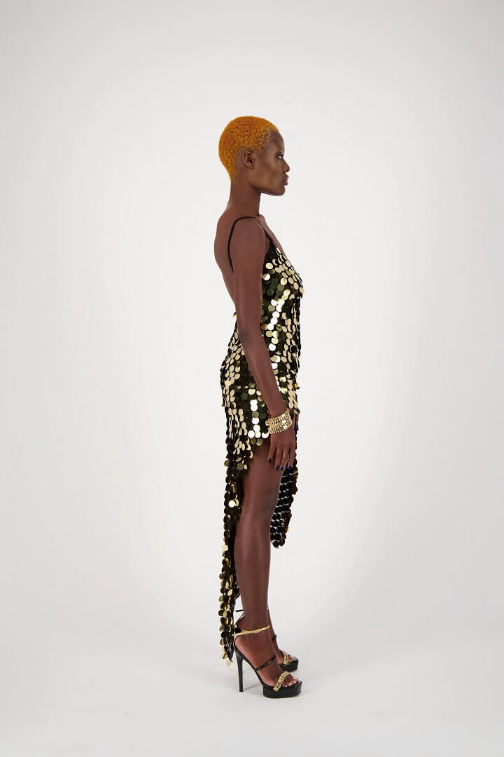 Charger l'image dans la galerie, DRESS MAYA